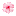 maniak